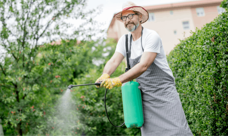 5 Factors to Consider On How Often Should I Water My Garden 