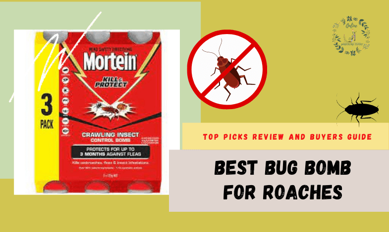 Best Bug Bomb for Roaches