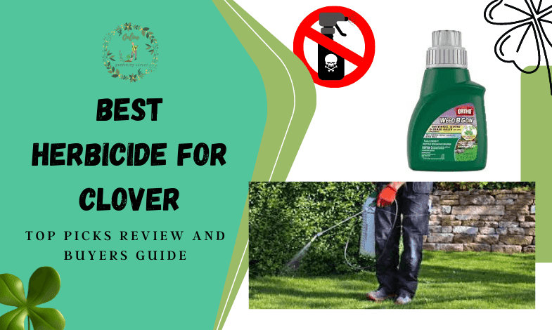 Best Herbicide for Clover