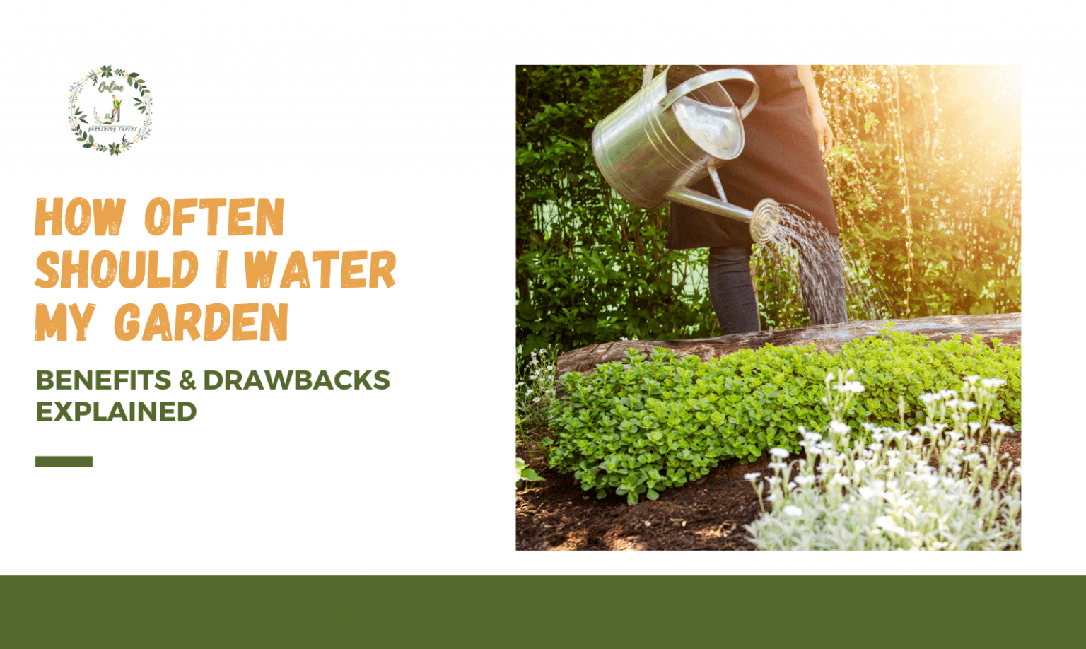 How Often Should I Water My Garden? Step by Step Guide - Online