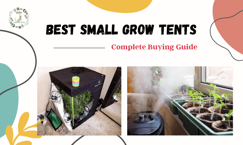 best small grow tents