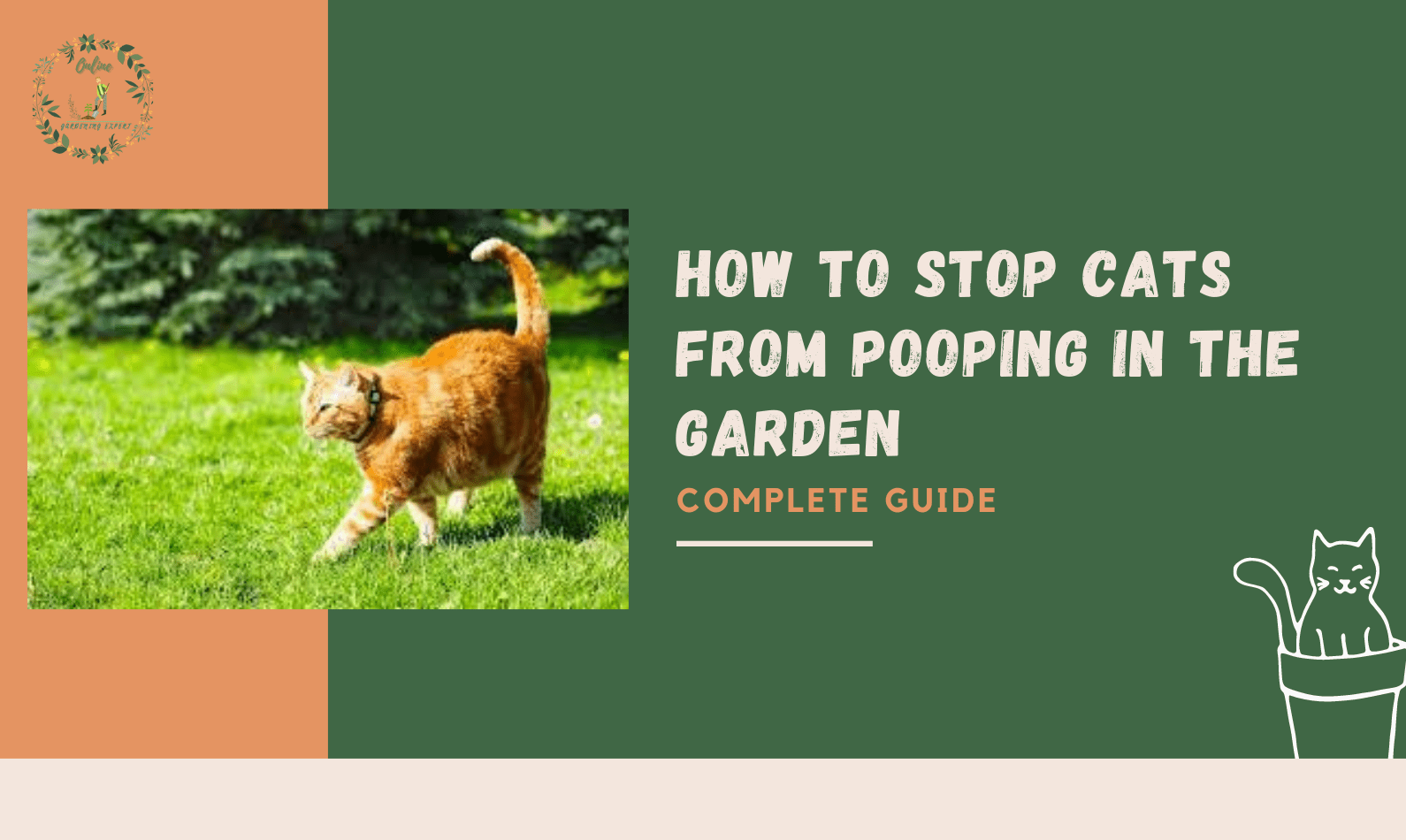 How to Stop Cats from Pooping in the Garden