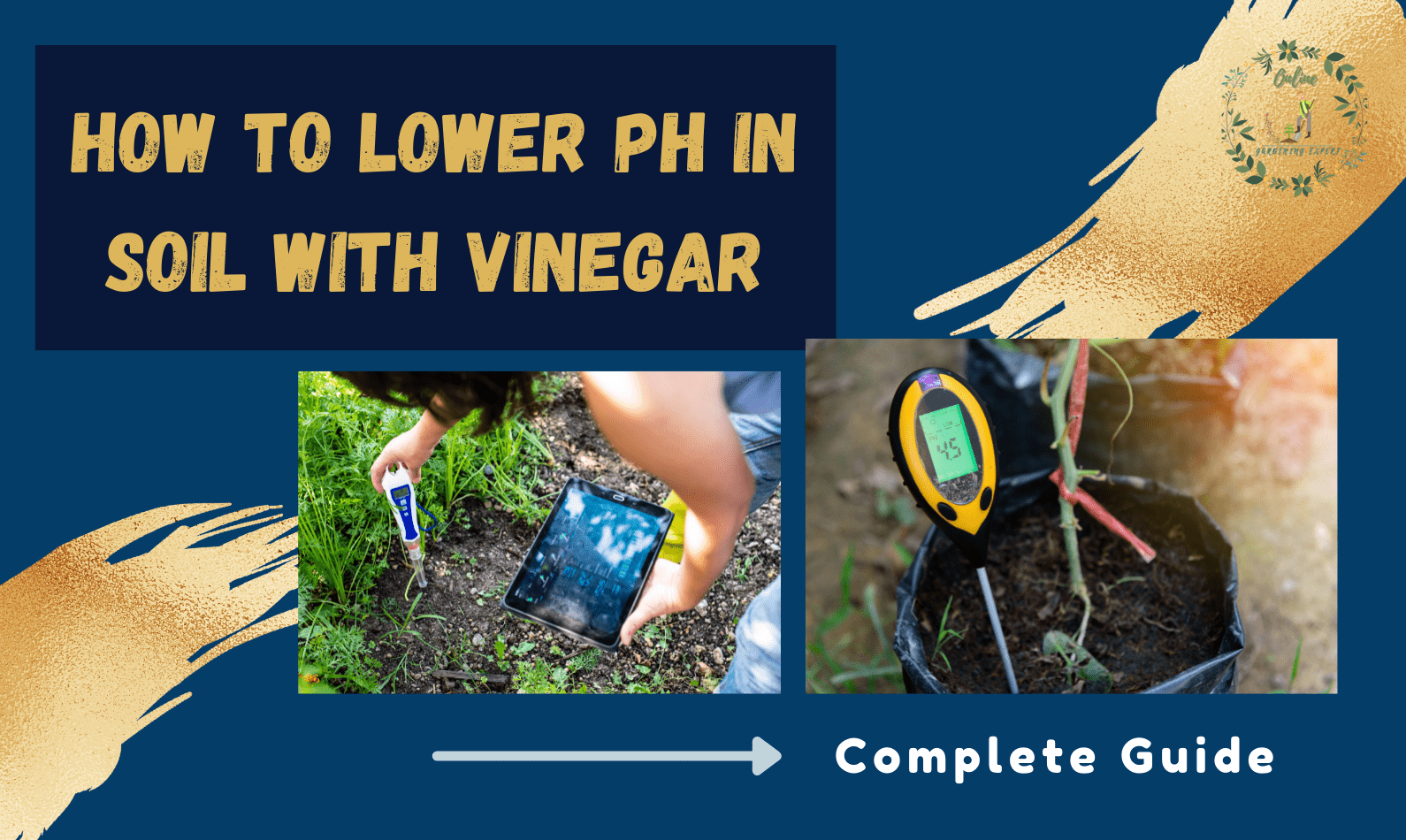How to Lower pH in Soil with Vinegar