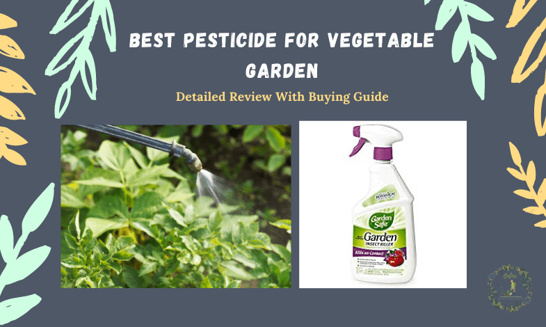 Best Pesticide For Vegetable Garden